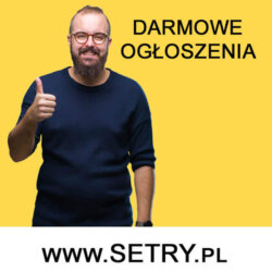 Gewerbe po polsku Gewerbe koszty